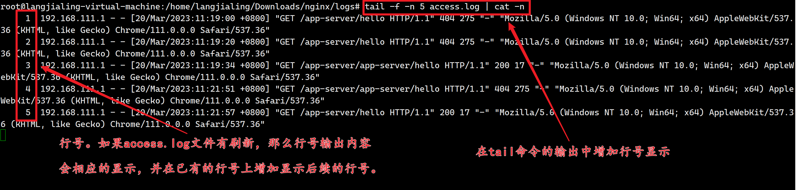 tail命令增加行号显示