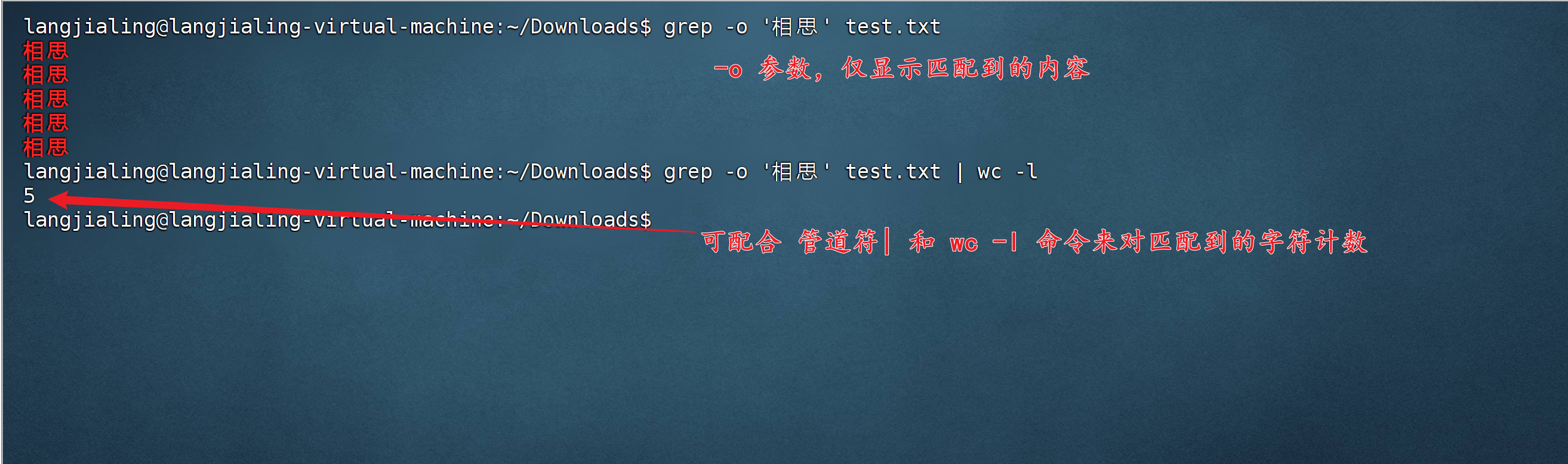 仅查找匹配到的字符